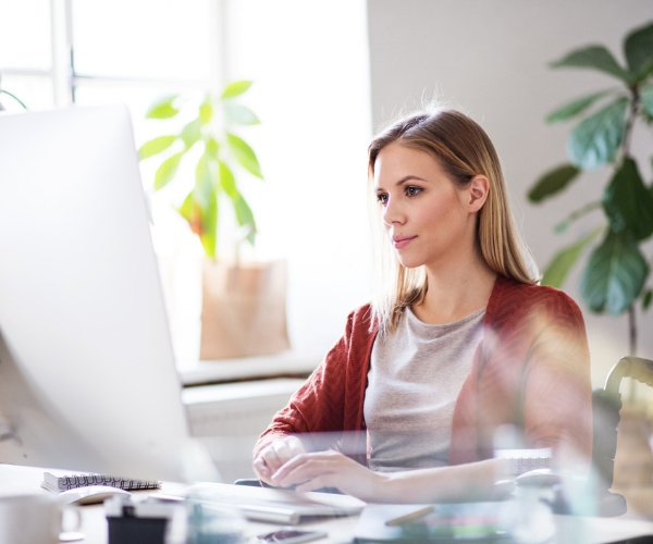 Indoor Plants For Your Office Feature